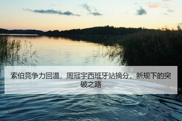 suo-bo-jing-zheng-li-hui-wen-zhou-guan-yu-xi-ban-ya-zhan-zhai-fen-xin-gui-xia-de-tu-po-zhi-lu-2-882.jpg